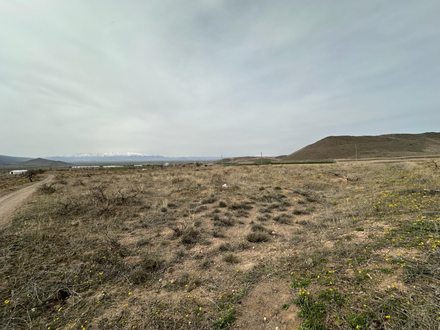 KAYSERİ DEVELİ REŞADİYE MAHALLESİ GÜZELCE MEVKİİNDE 7240 m2 SATILIK BAĞ